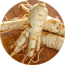 Ginseng rouge - reconnu pour soutenir les performances mentales