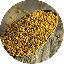 Pollen - source naturelle de nutriments et de vitalité
